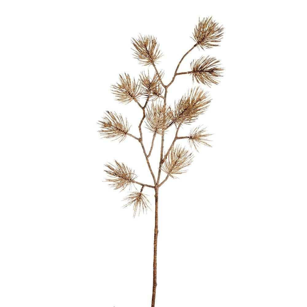 RAMO PINO TOFFEE CM.53